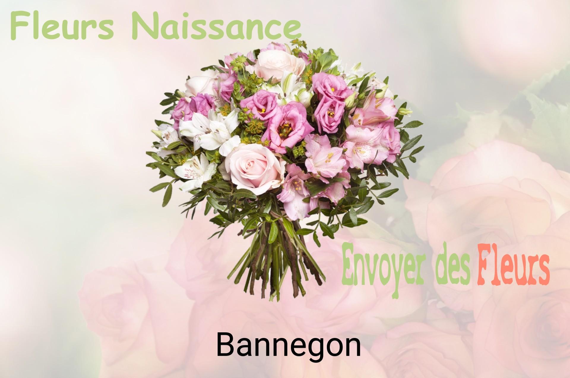 Bouquet de fleurs de naissance livré à Bannegon
